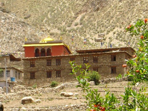 dolpa 066