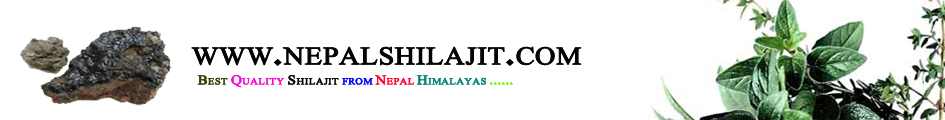 Best Quality Shilajit from Nepal