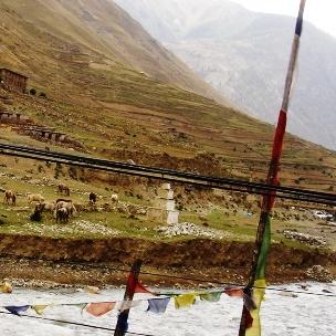 Dolpa the source of Shilajit